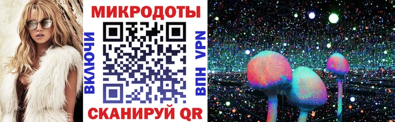Галлюциногенные грибы Psilocybe  гидра   Озёры 